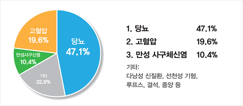 당뇨:47.1% / 고혈압 : 19.6% / 만성 사구체신염 : 10.4% / 기타 : 다낭성 신질환, 선천성 기형, 루프스, 결석, 종양 등