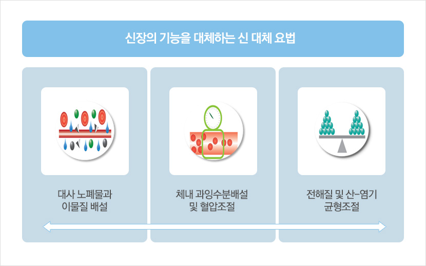 신장의 기능을 대체하는 신 대체 요법. 대사노폐물과 이물질 배설. 체내 과잉수분배설 및 혈압조절. 전해질 및 산-염기 균형조절