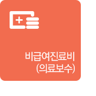 비급여진료비(의료보수)