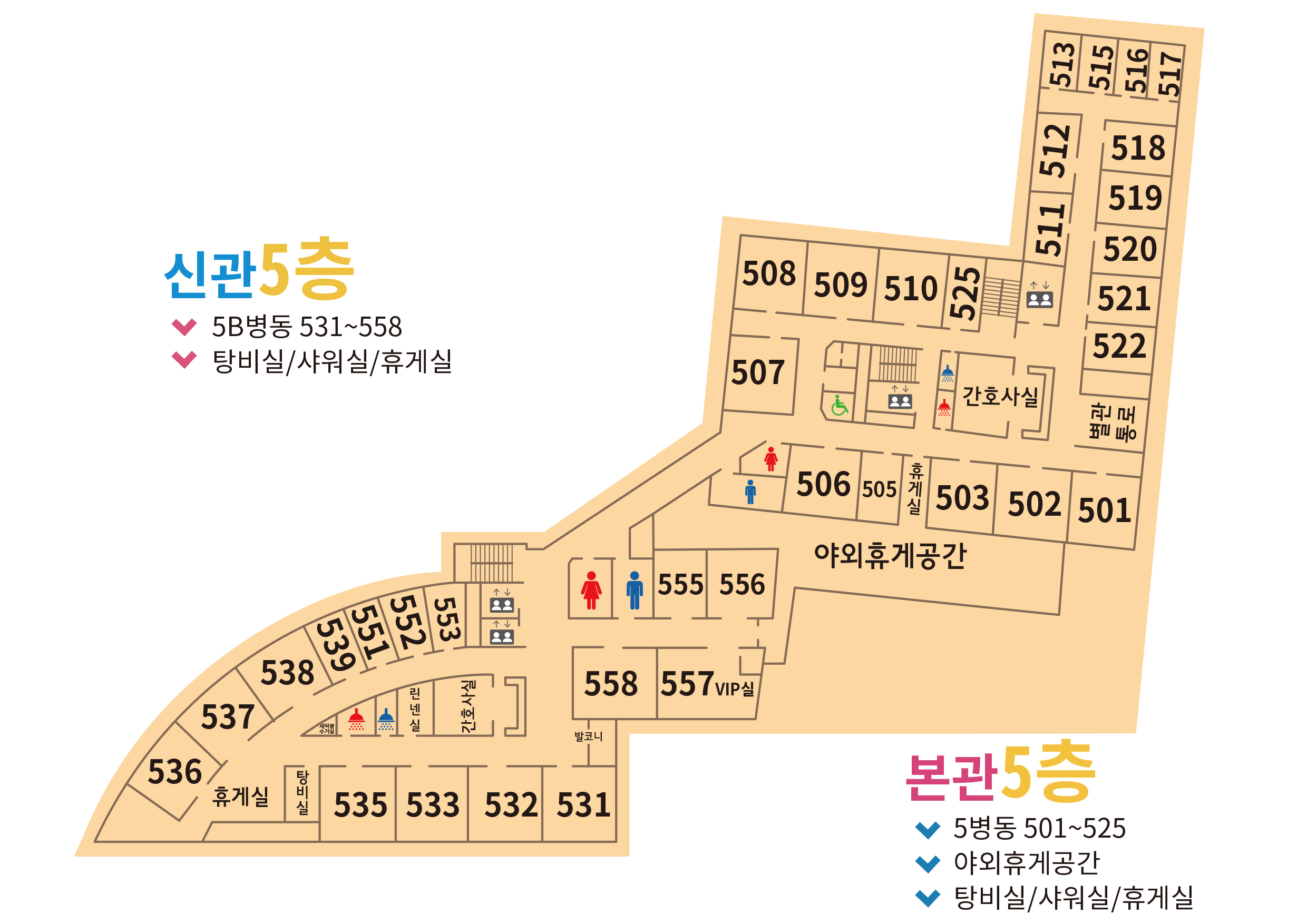 5층 신관