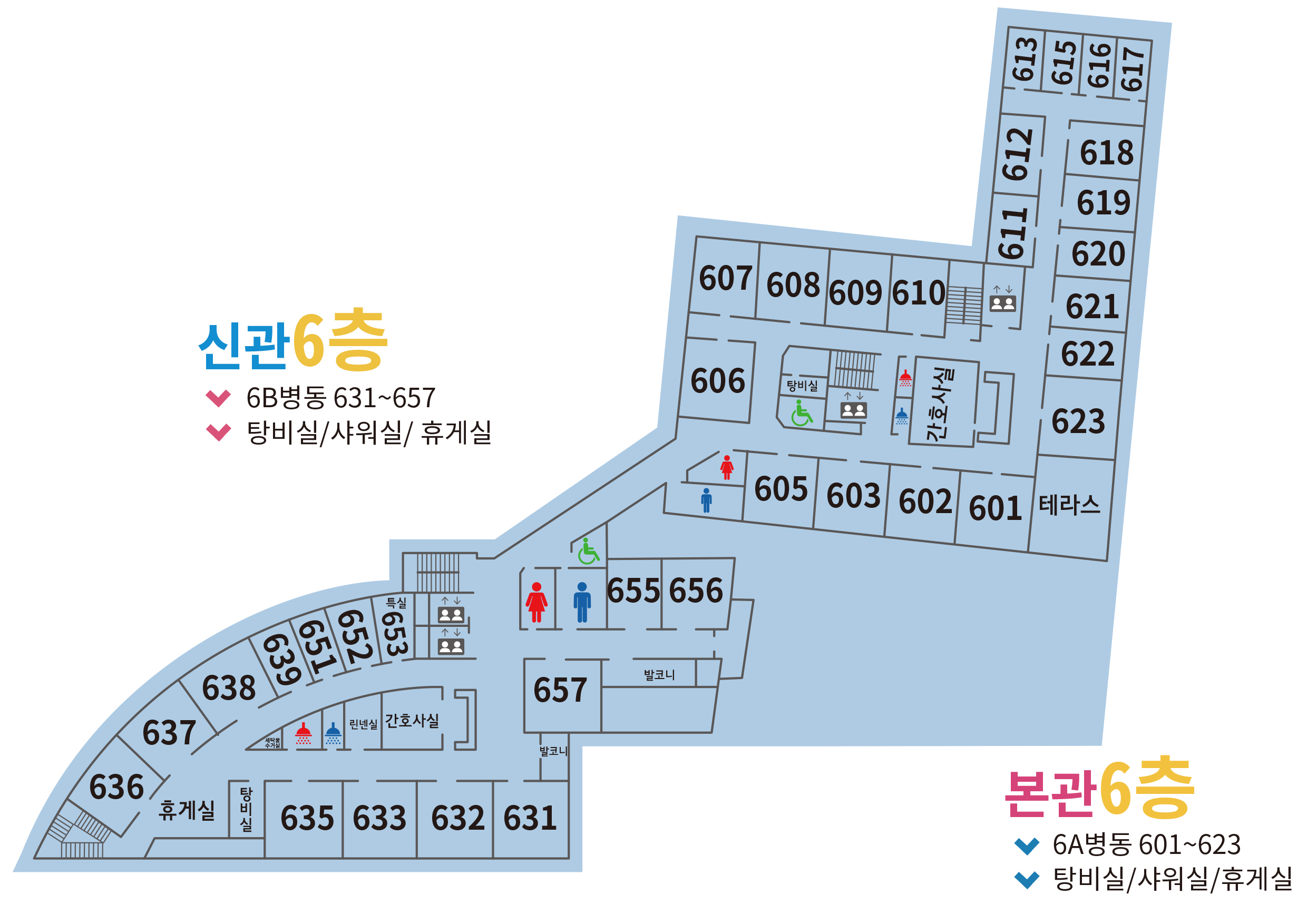 6층 신관